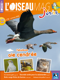 Couverture de l'OISEAU MAG JUNIOR n°36